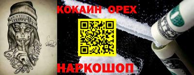 молекула духа Новозыбков