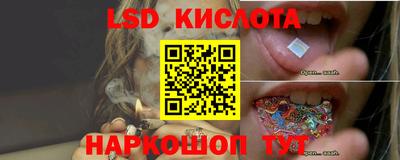 молекула духа Новозыбков