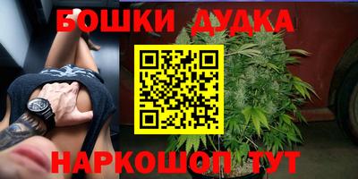 молекула духа Новозыбков