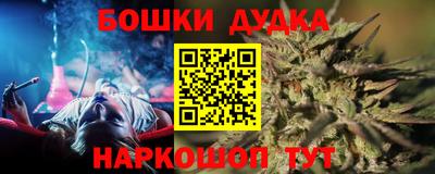 молекула духа Новозыбков